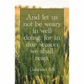 B & H Publishing And Let us Not Be Weary in Well Doing We Shall Reap Galatians 6 Bulletin 259751